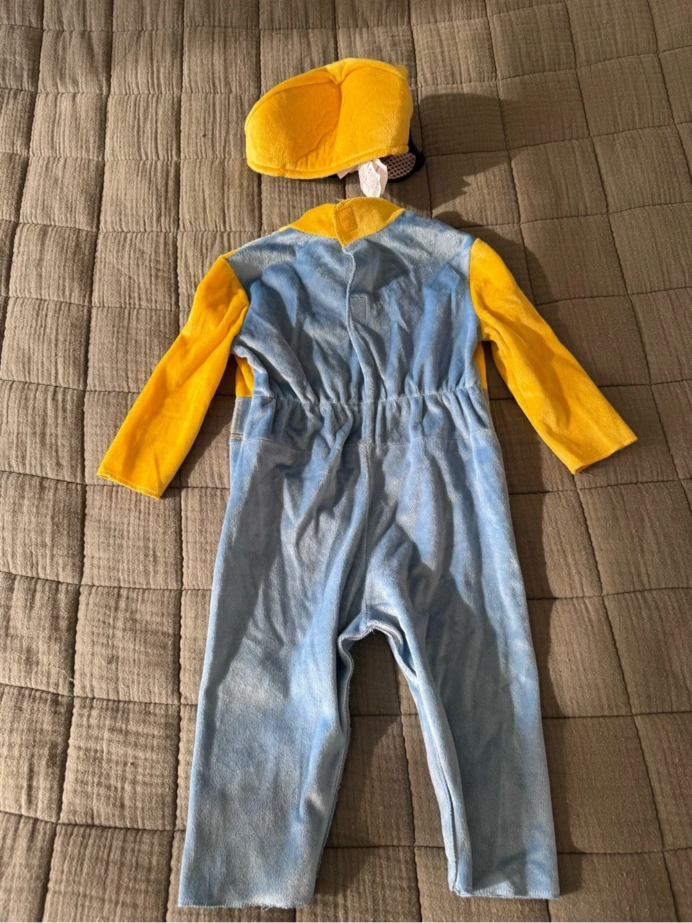 Minions 12 18